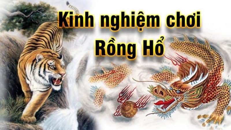Rồng hổ TDTC: Hướng dẫn cách chơi một cách chính xác nhất 4 Một số mẹo chơi Rồng hổ TDTC cực hay